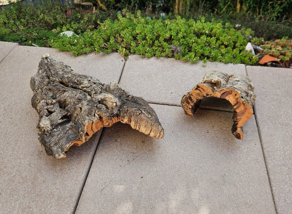 Hobby Zierkorkrinde, 32cm und 14cm, dekorative Korkrinde für Reptilien und Terrarien, natürliche Rinde für Terrariengestaltung