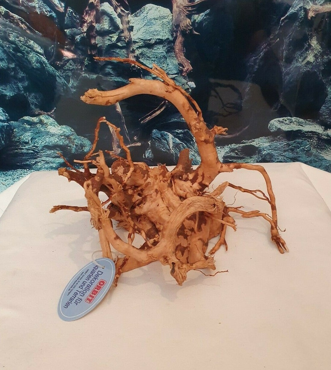 Holz Fingerwurzel 22x16x19cm für Aquarium, geeignet für Welse, Garnelen, Krebse, Fische, von Orbit