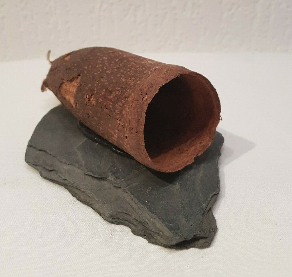 Sera Fino Hornkapsel auf Steinplatte für Aquarium und Terrarium, ca. 9-15cm, ideal für Frösche, natürliche Dekoration