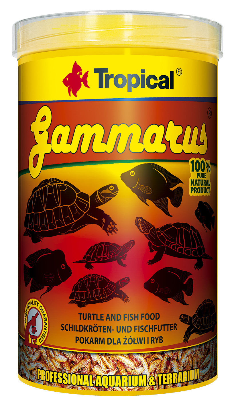 Tropical Gammarus 250ml: lebendige Bachflohkrebse als Schildkröten- und Fischfutter in einem Terrarium.
