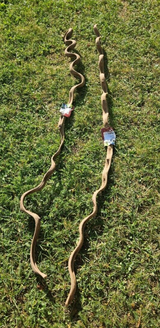 Hobby Dschungel Lianen aus Holz, 116cm und 109cm, mit Wurzel, ideal für Reptilien und Schlangen im Terrarium