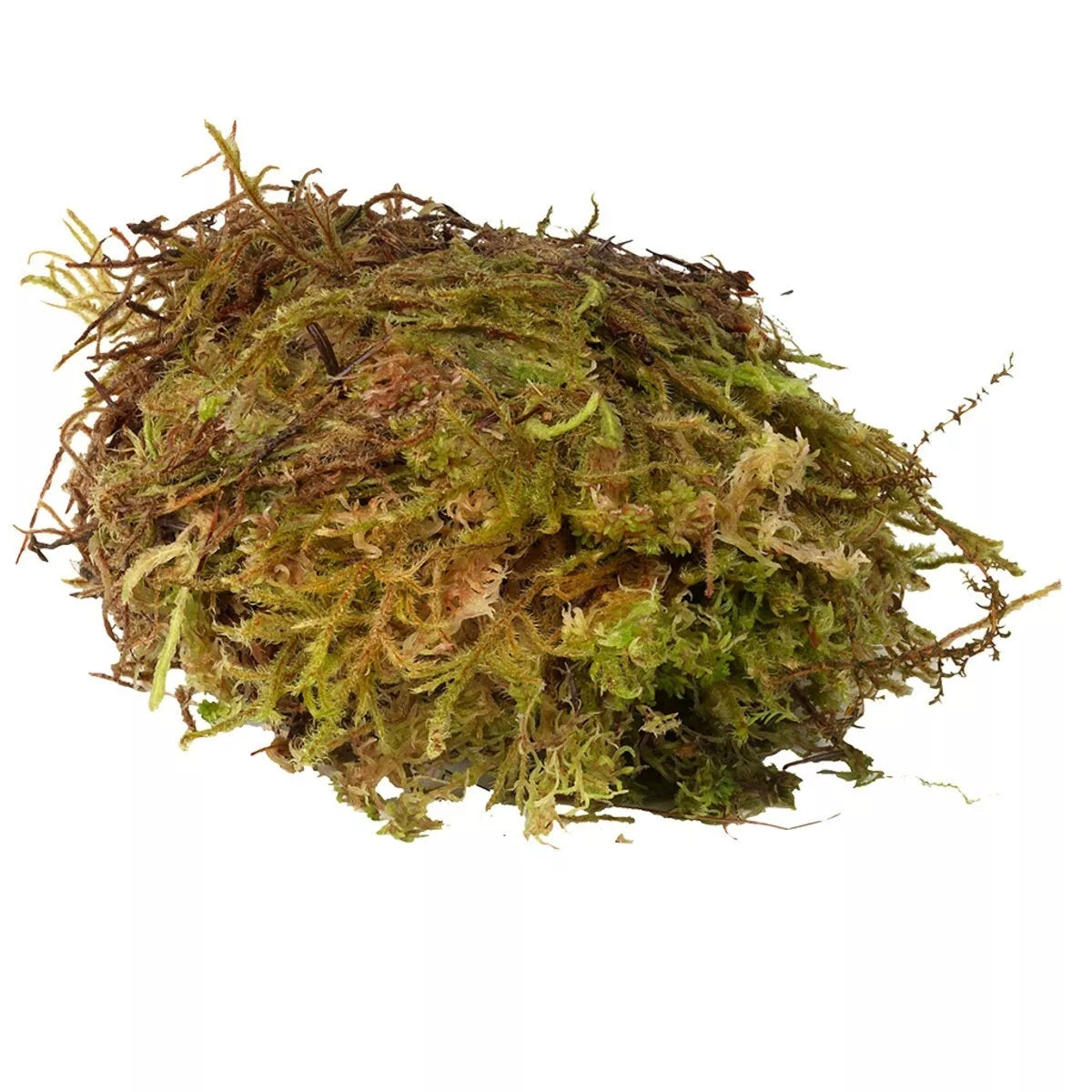 Habistat Sphagnum Moss 1kg - Moos Torf Naturmoos Terrarium 100% natürlich