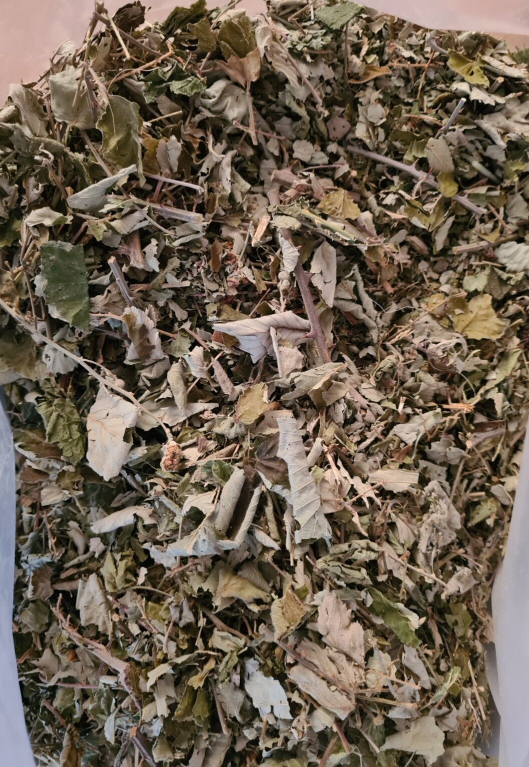 Brombeerblätter Beutel für Garnelen, Welse und Krebse, 500g, natürliches Aquariumzubehör, getrocknete Brombeerblätter