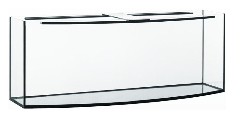 Großes Glasaquarium 200x60x60cm mit gebogener Frontscheibe, 720 Liter Volumen, von Diversa, klarer Blick auf Innenraum
