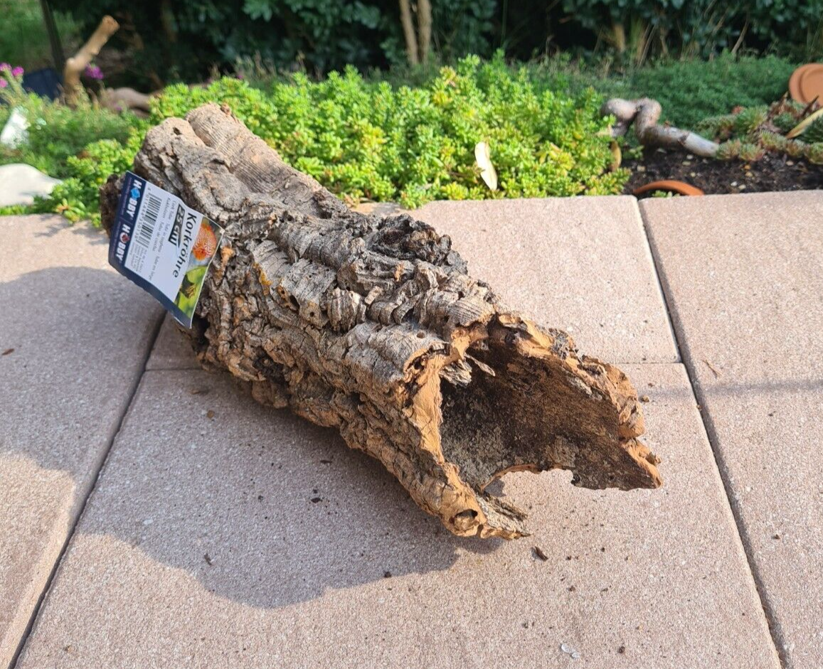 Hobby Zierkorkrinde, 32x10x11cm, natürliche Korkröhre für Terrarien, Reptilien und Dekorationen im Terrarium