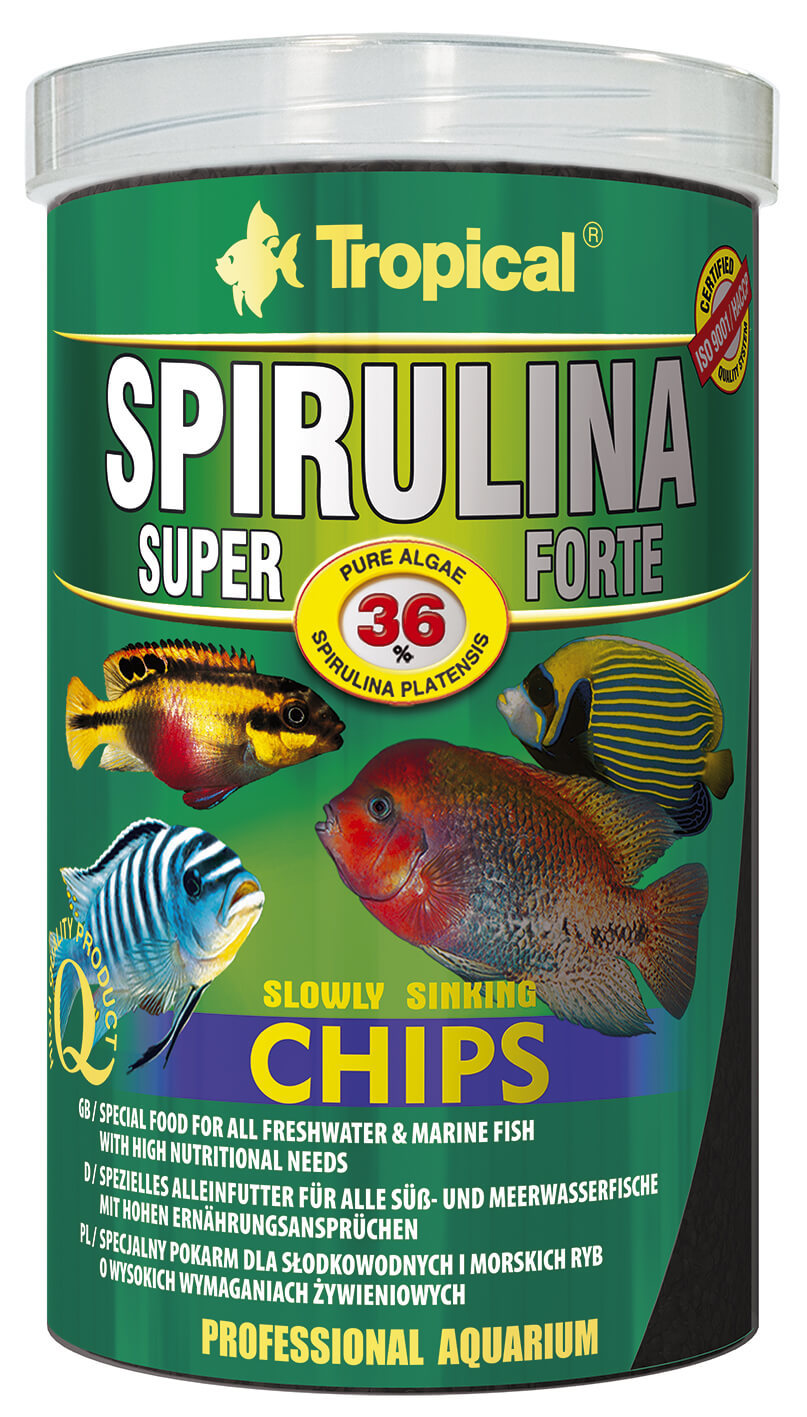 Tropical Spirulina Super 36% Forte Chips, 100ml, pflanzliches Fischfutter in einer transparenten Verpackung auf weißem Hintergrund.