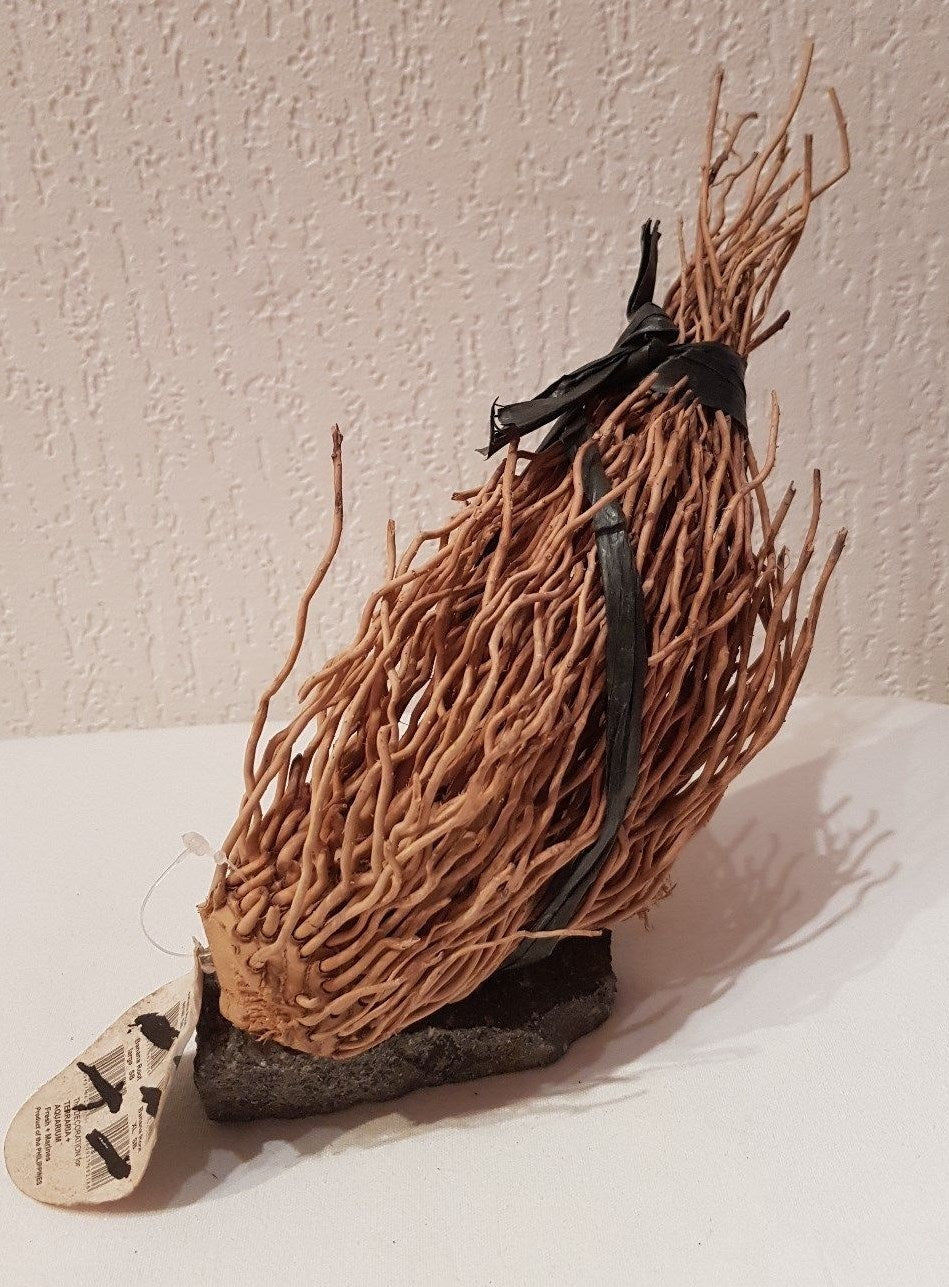 Bananenwurzel auf Steinplatte, 16x9x21cm, dekorative Wurzel für Reptilien, Schlangen und Terrarien, naturbelassen