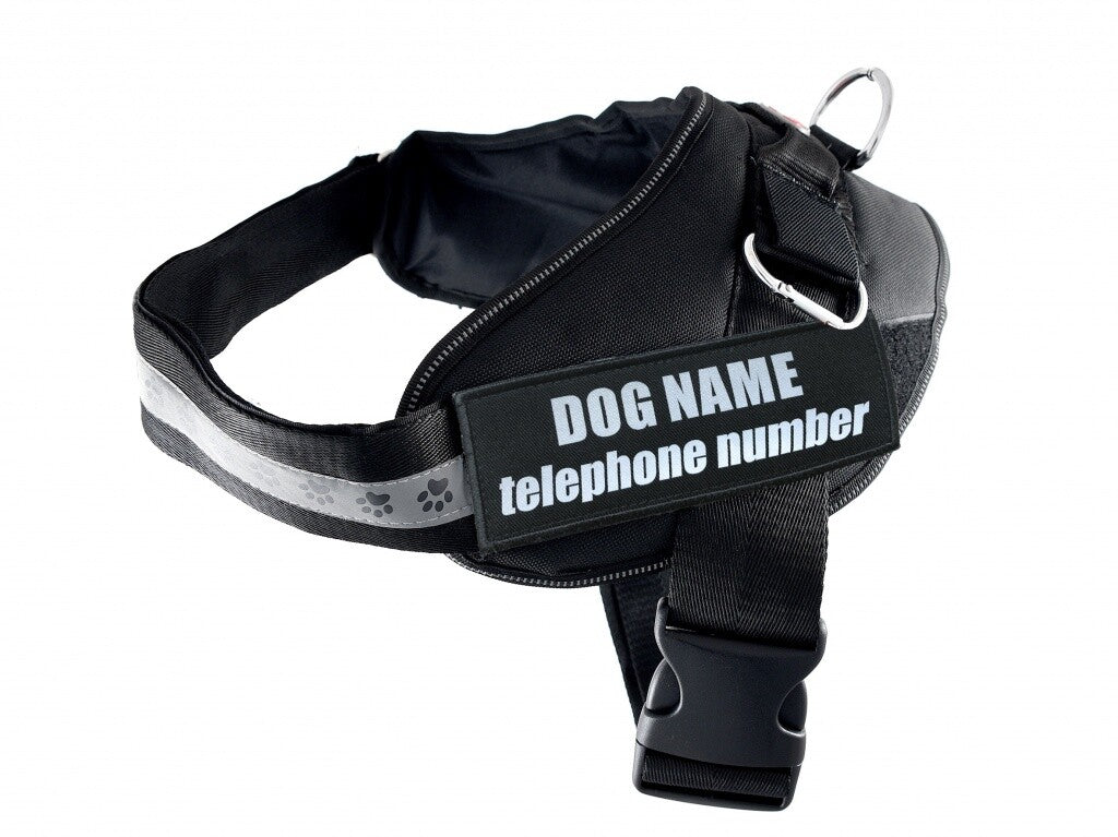 Schwarzes Nylon-Hundegeschirr Rescue+ von Pet Nova, verstellbar, Größe M (55-65 cm), für sicheren Hundesport und Spaziergänge