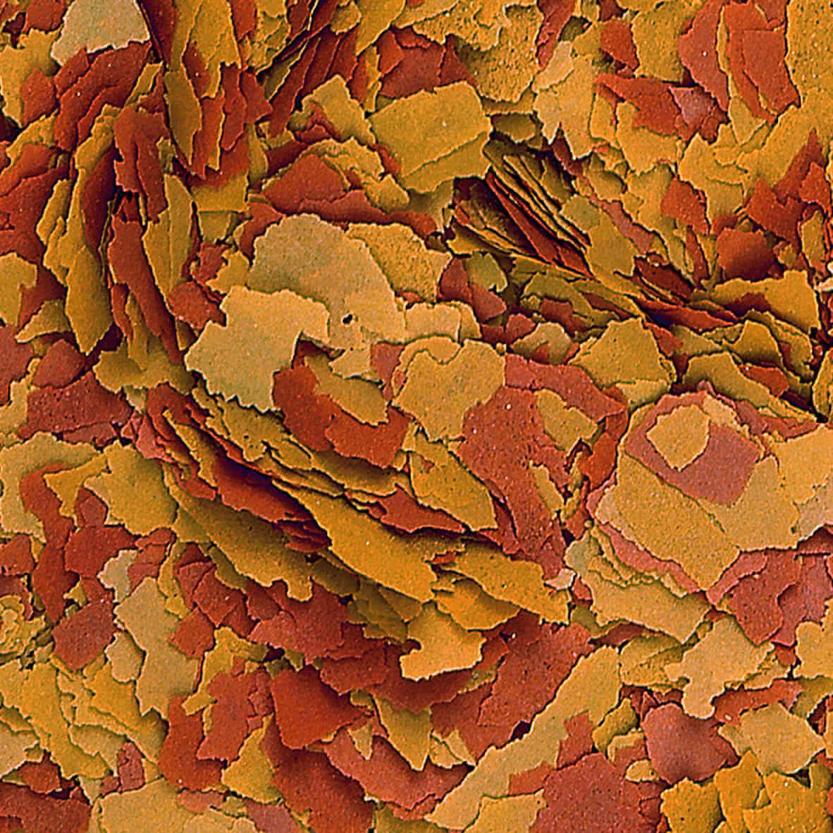 Tropical Vitality & Color Flakes, 100ml, Flockenfutter mit Farbverstärker, bunte Vogelfutterflocken für Farbbrillanz
