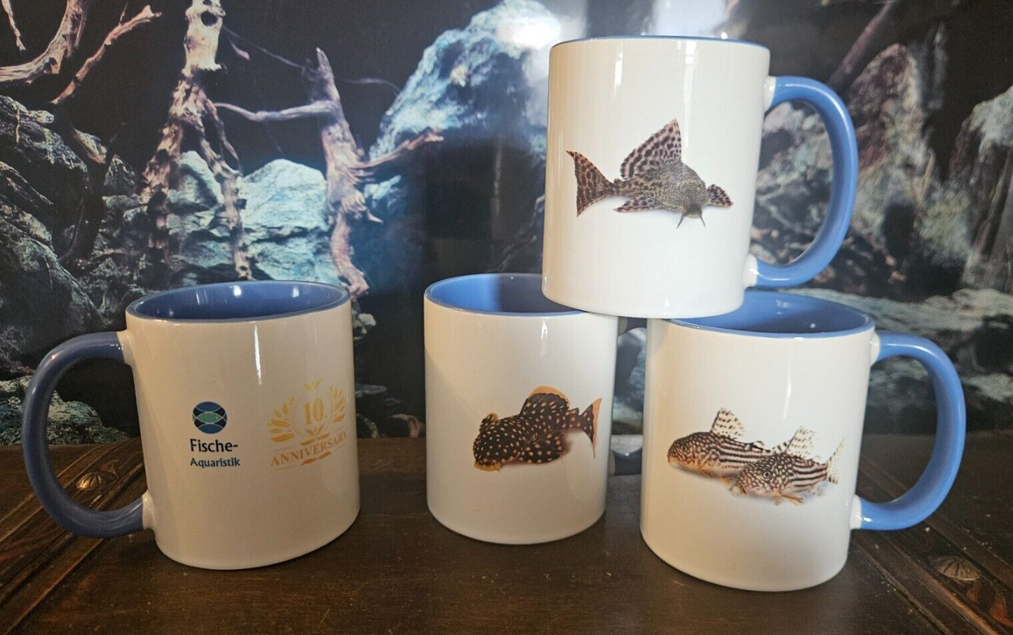 Aquaristik Wels Motiv Tasse mit Panzerwelsen, langlebiges Porzellan, ideal für Aquarienliebhaber, Jubiläumstasse, Fische-Aquaristik