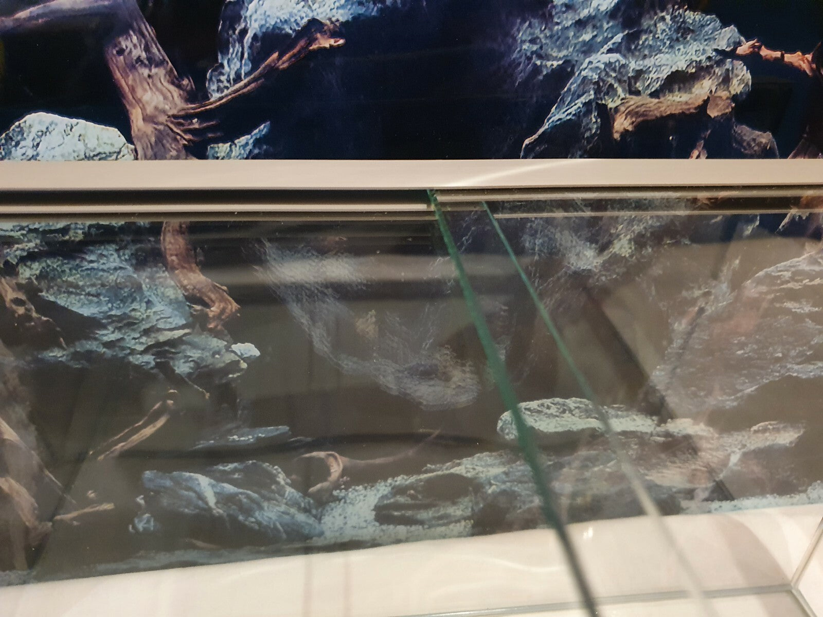 Diversa Kallax Aquarium 33x38x20cm Glasbecken mit rechteckigem Design, transparentes Glasaquarium für Aquarienliebhaber