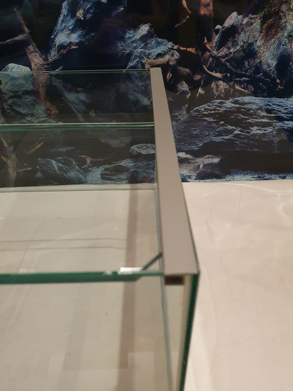 Glasaquarium Kallax von Diversa, rechteckiges Aquarium 33x38x20cm, 28,8 Liter, klarer Glasbecken mit Wasser und Dekoration