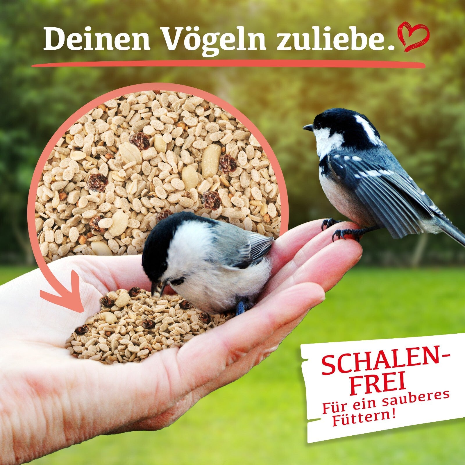 Delicia Energie Futter Mix 20kg für Wildvögel, schalenfrei, ganzjähriges Vogelfutter, natürliche Vogelernährung, Vogelfutter im Beutel