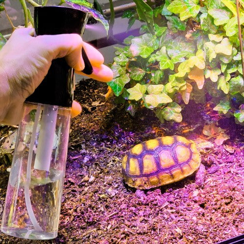 Hobby AtomiZZZer Pumpzerstäuber mit Nachsprüh-Automatik, sprühfähiger Zerstäuber für feinen Nebel, auf weißem Hintergrund.