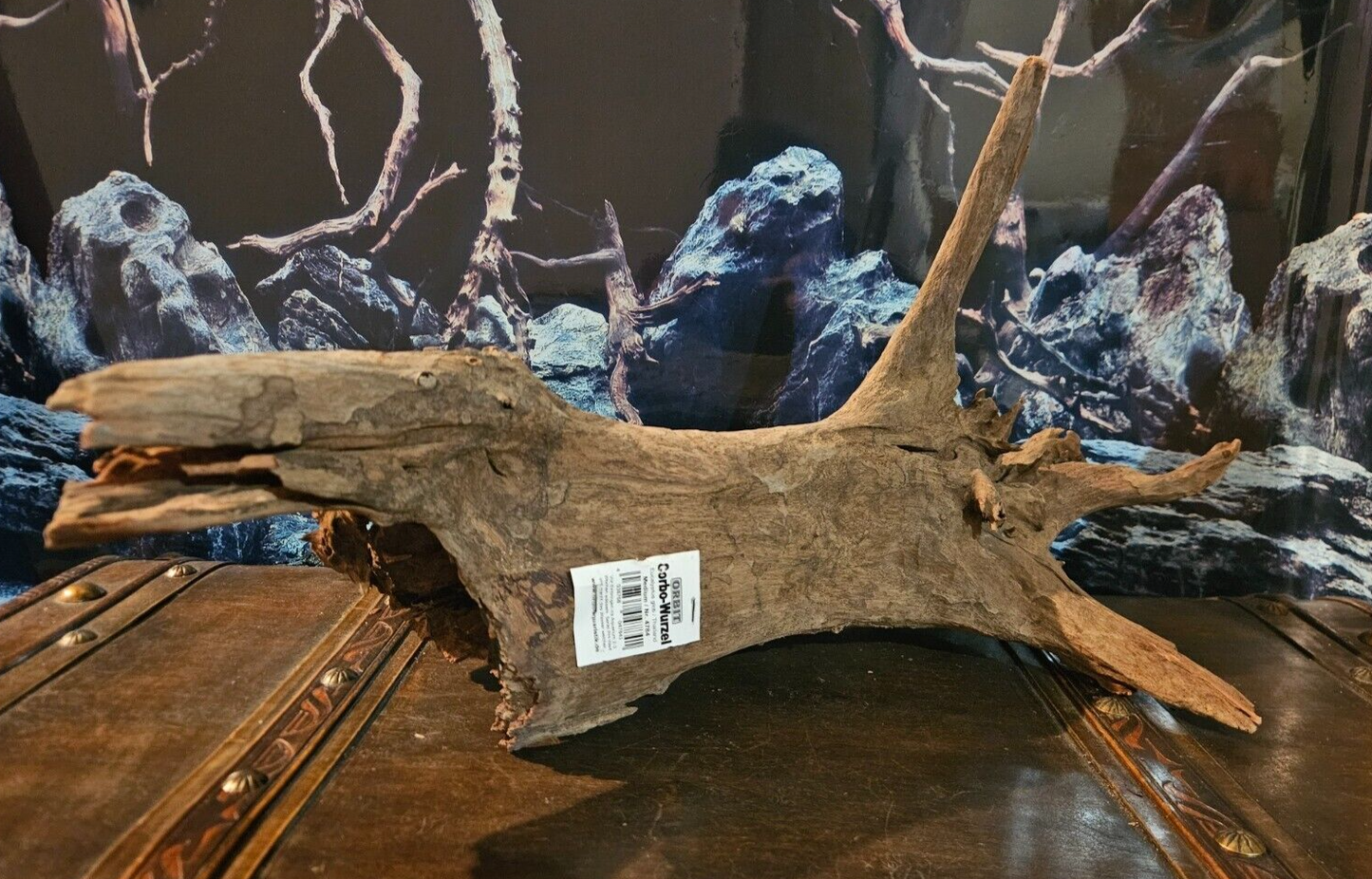 Corbo Wurzel M aus Holz für Welse, Garnelen und Terrarien, natürliche Aquarium-Dekoration, Maß 56x31x24cm, Orbit.