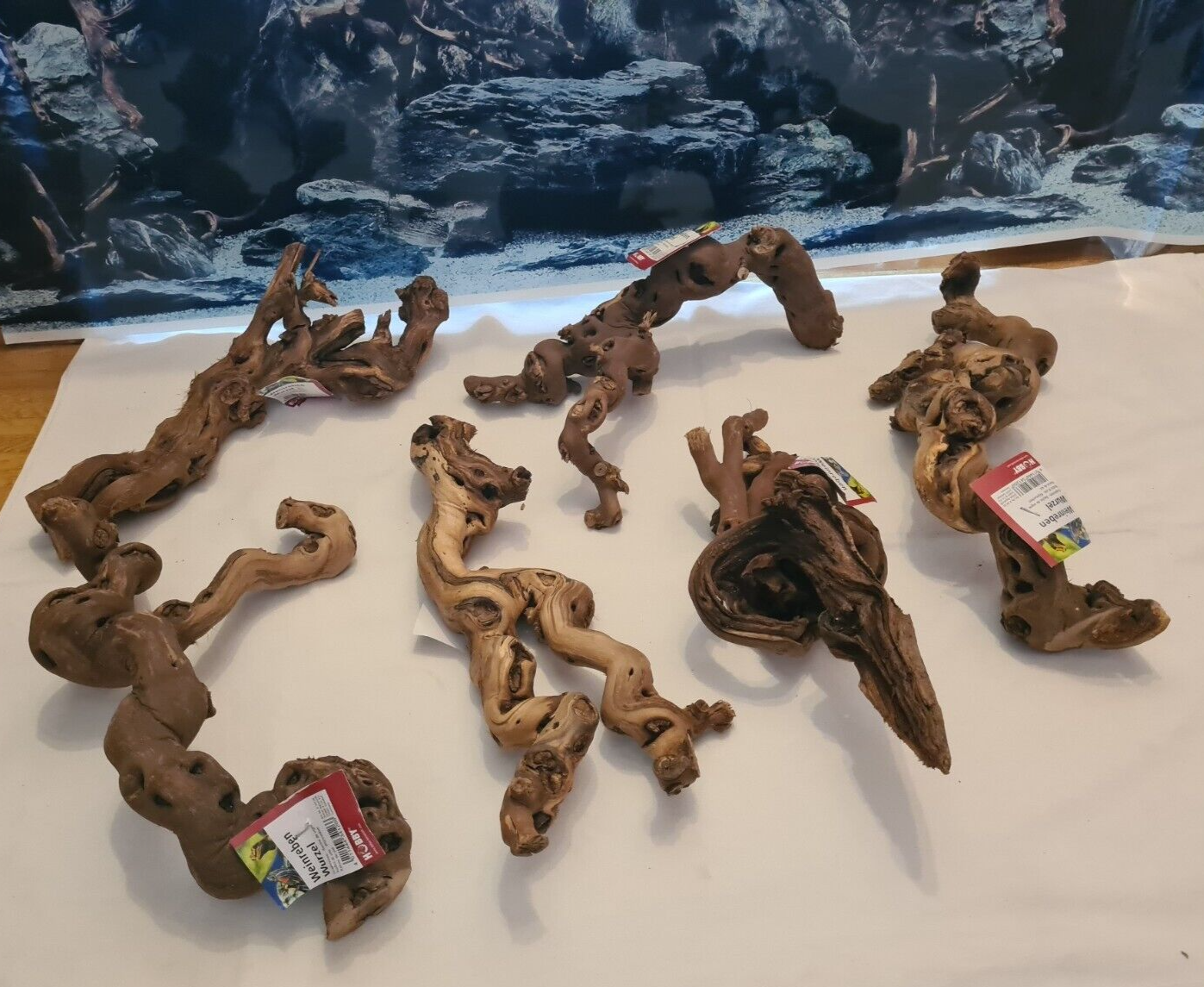 Hobby Terra Weinrebe aus Holz, ca. 30cm, für Reptilien, Schlangen und Terrarien, natürliche Wurzel für Terrarium-Dekor.