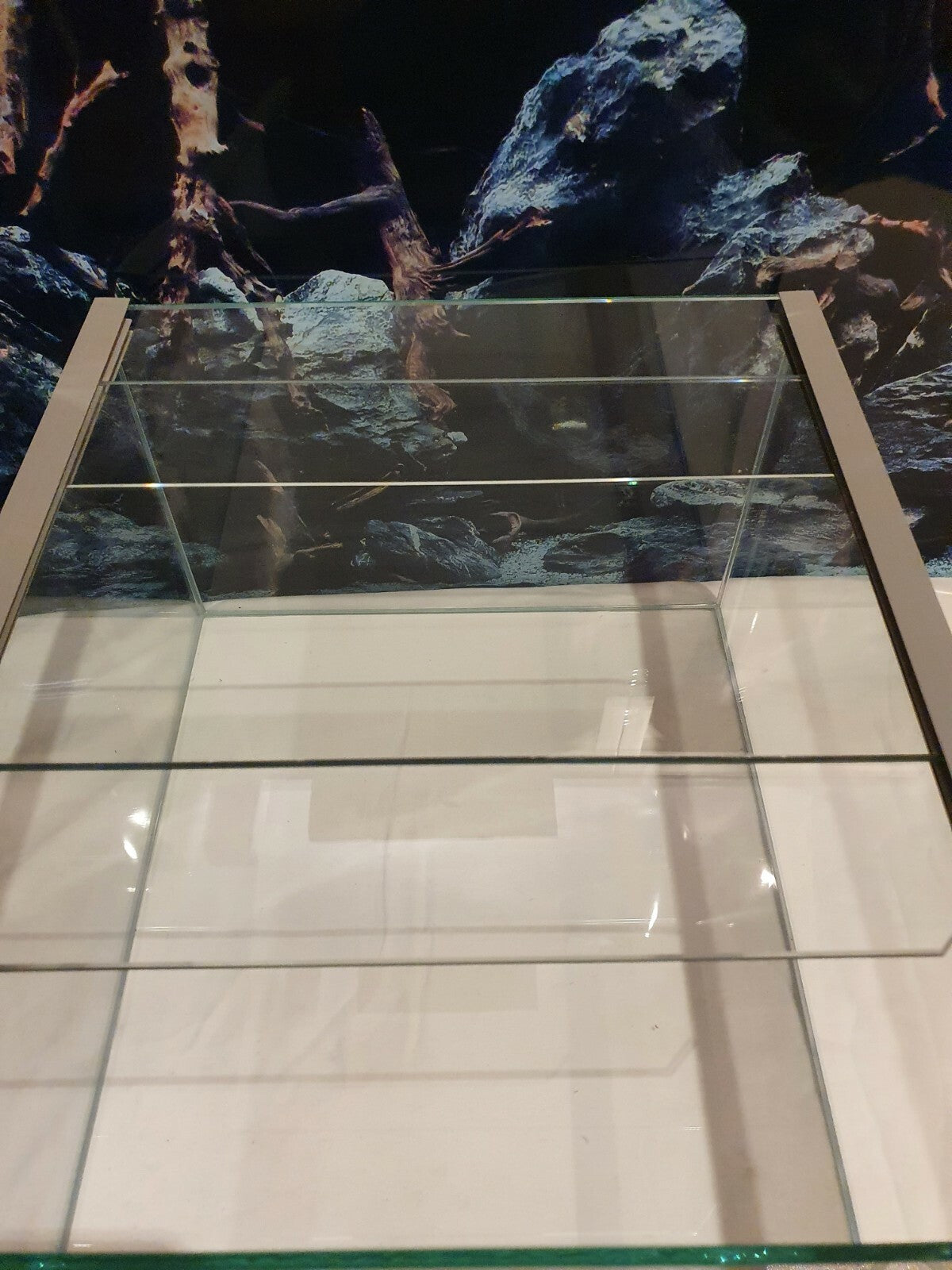 Glasbecken Kallax Aquarium 33x38x20cm von Diversa, rechteckiges Aquarium mit 28,8 Litern Fassungsvermögen, klare Glaswände
