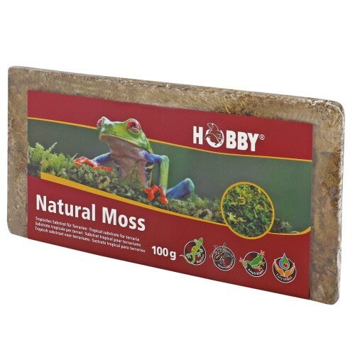Hobby Naturmoos 100g, feuchtes Moos für Terrarien, natürlich, frisch, ideal für Terrariengestaltung, in feuchter Box verpackt
