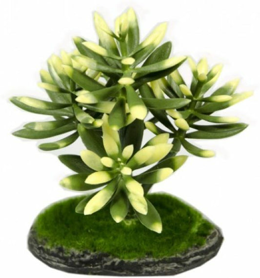 Grüne künstliche Aquarium Pflanze von Aqua Nova, 15cm Wasserpflanze aus Plastik, dekorative Deko für Aquarien