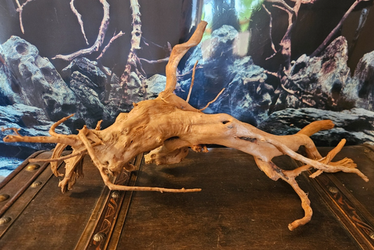 Rote Moorwurzel Fingerwurzel XL aus Holz für Aquarium, Welse und Fische, naturbelassenes Dekorelement, Maße 64x34x26cm