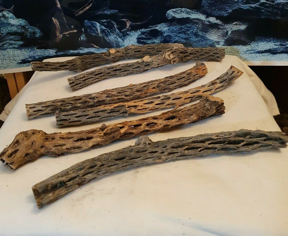 Kleine Vuka Holz Wurzel, 28-32 cm, für Reptilien, Garnelen, Terrarien und Aquarien, naturbelassen, Markenlos