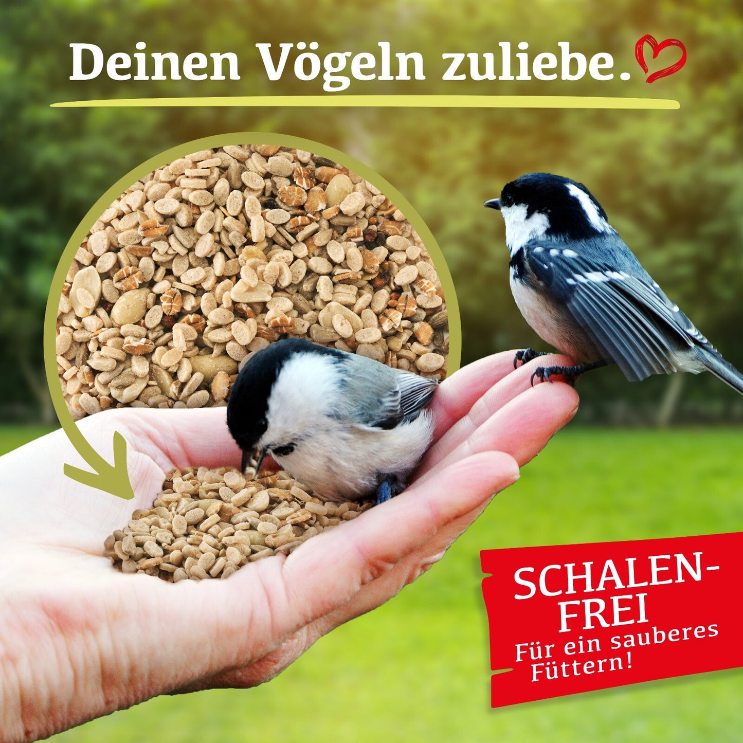 Delicia Vital Futter-Mix 6kg, schalenfreies Wildvogelfutter für Ganzjahresfütterung, Vogelfutter mit verschiedenen Samen und Körnern