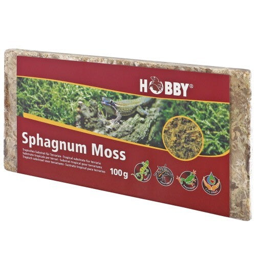 Hobby Sphagnum Moos, 100g, im Nassbehälter, natürlicher Terrarienmoos, feucht, grün, für Terrarien und Pflanzenpflege