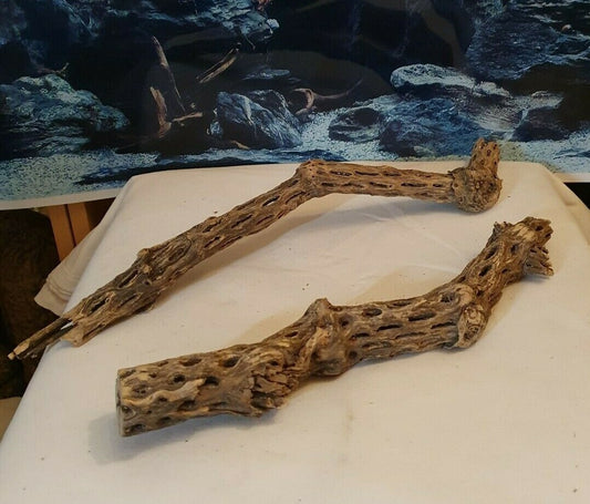 Zwei Vuka Holz Wurzeln, 35cm und 46cm, naturbelassen für Aquarium, Terrarium, Garnelen und Reptilien, mit sichtbarer Struktur