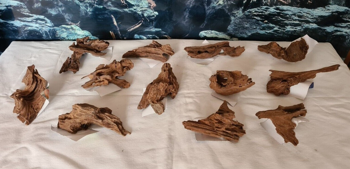 Hobby Mangroven Nano XS Wurzel, 9-14 cm, natürliche Holzdekoration für Garnelen- und Krebsaquarien