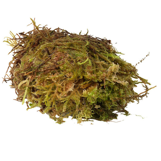 Feuchtes Habistat Sphagnum Moos 1kg, natürliches Torf- und Terrarium-Moos, feuchtes Naturmoos für Terrarien