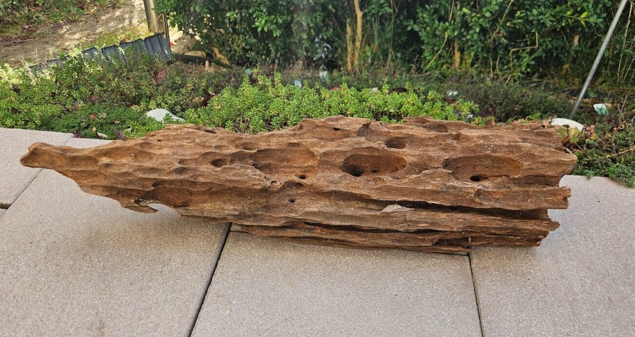 Höhlenwurzel aus Mangrovenholz, 61x13x14cm, Aquariumdekoration für Welse und Fische, natürliche Holzstruktur