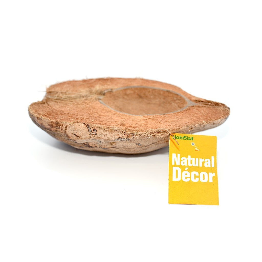 Habistat Kokosnuss Schale als Trink- und Futterschale für Reptilien im Terrarium mit Pflanzen, naturbelassen und robust