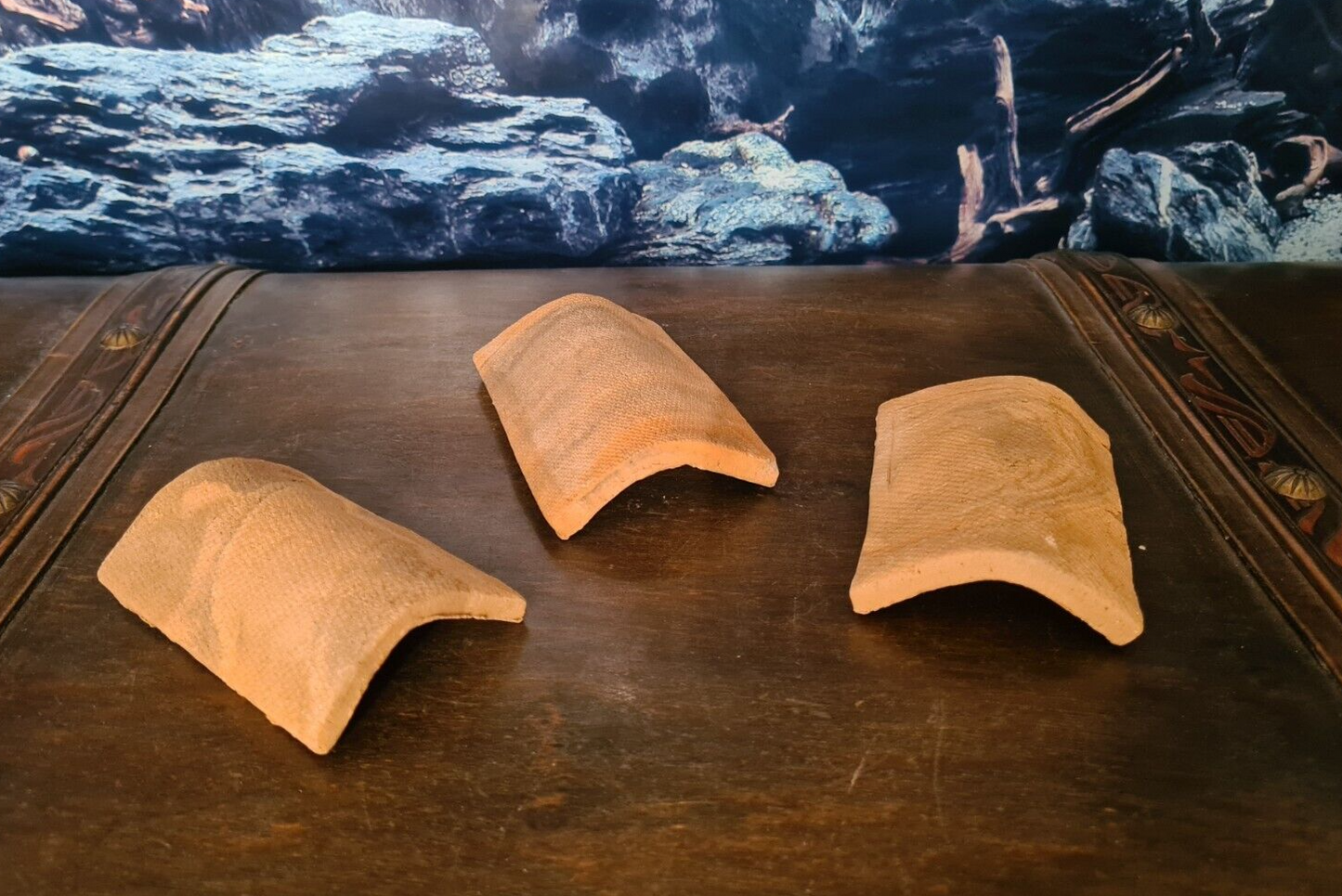 Drei kleine Fischdeckel Unterschlupf aus Keramik in verschiedenen Farben für Aquarium Welse, 8x6x2cm, von Ceramic Nature