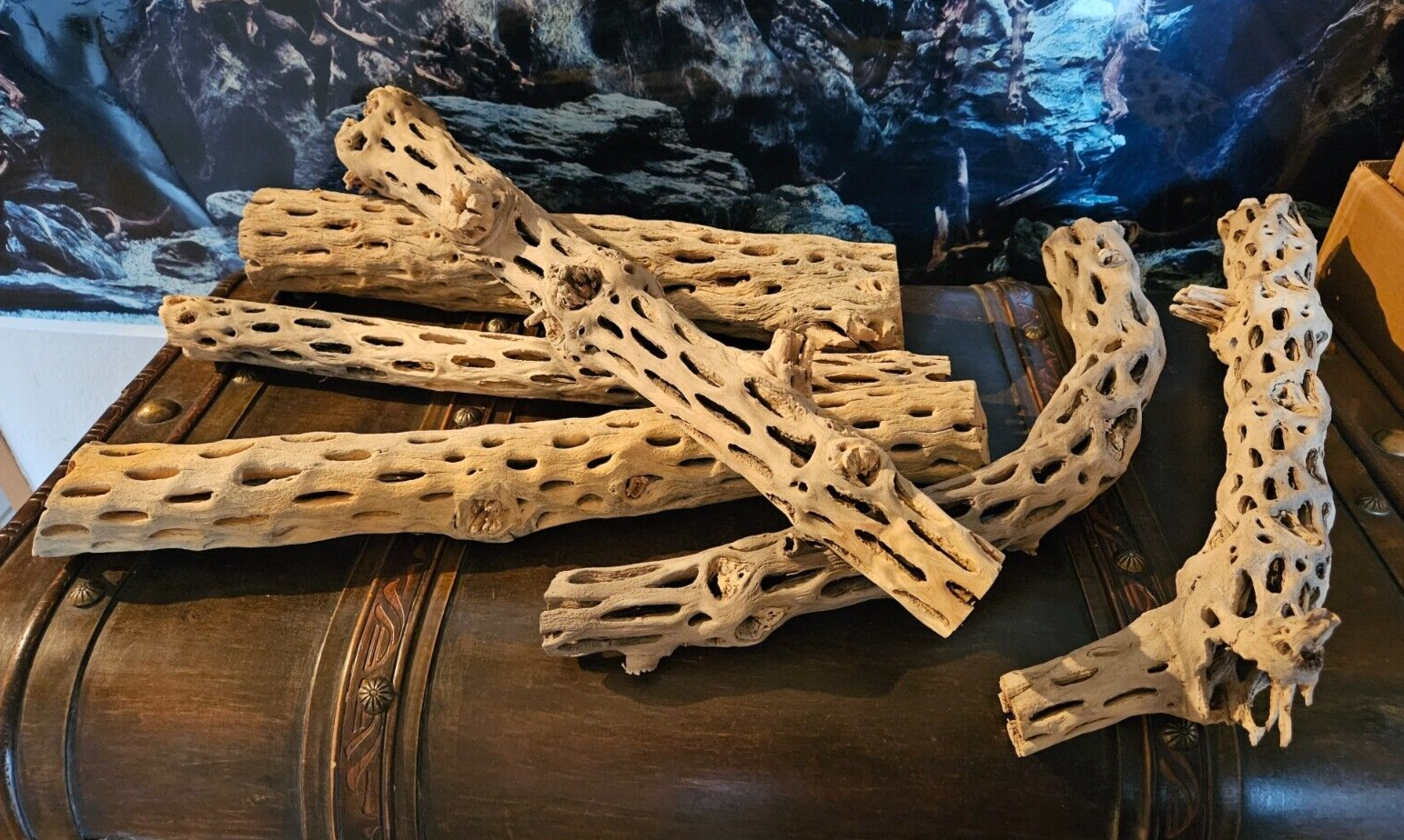Hellbraune Vuka Holz Wurzel, 40-50 cm, für Reptilien, Garnelen, Terrarien und Aquarien, naturbelassen, markenlos