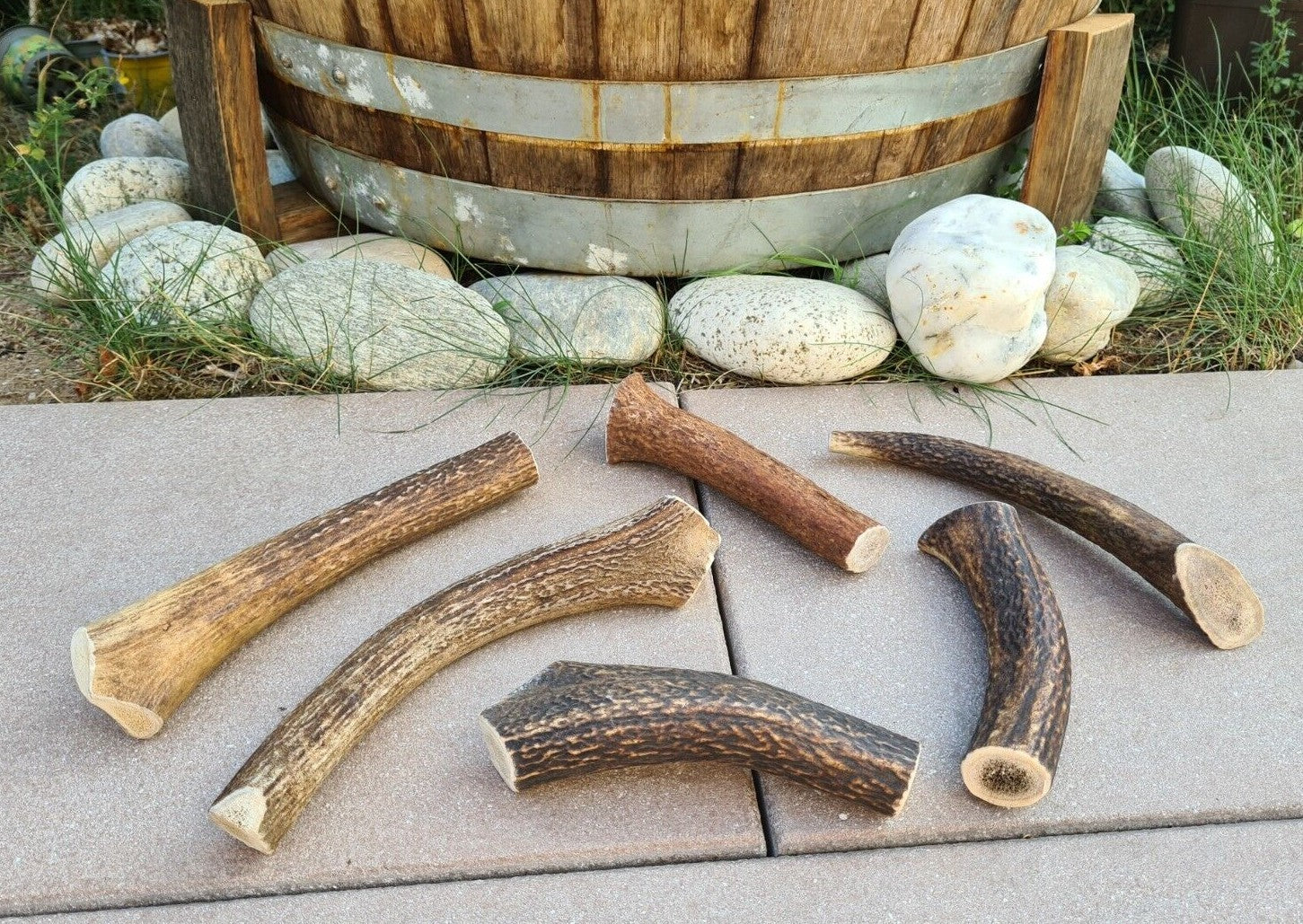 Handgefertigter Hunde-Geweihsnack aus Hirschgeweih, Kausnack und Kauknochen für Hunde, naturbelassen und robust.