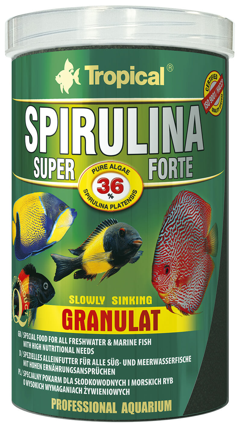 Tropical Spirulina Super 36% Forte Granulat in 100ml Flasche, grüne Plante mit Spirulina-Algen, nährstoffreiches Superfood