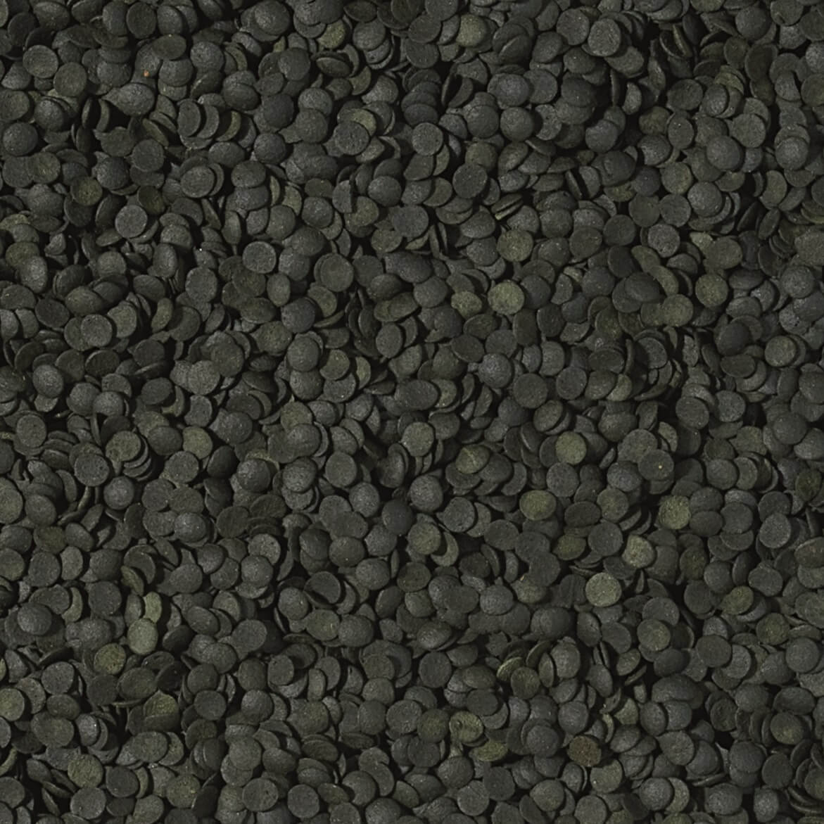 Tropical Spirulina Super 36% Forte Chips pflanzliches Fischfutter in 100ml Dose, nährstoffreiche Fischfutterchips mit Spirulina
