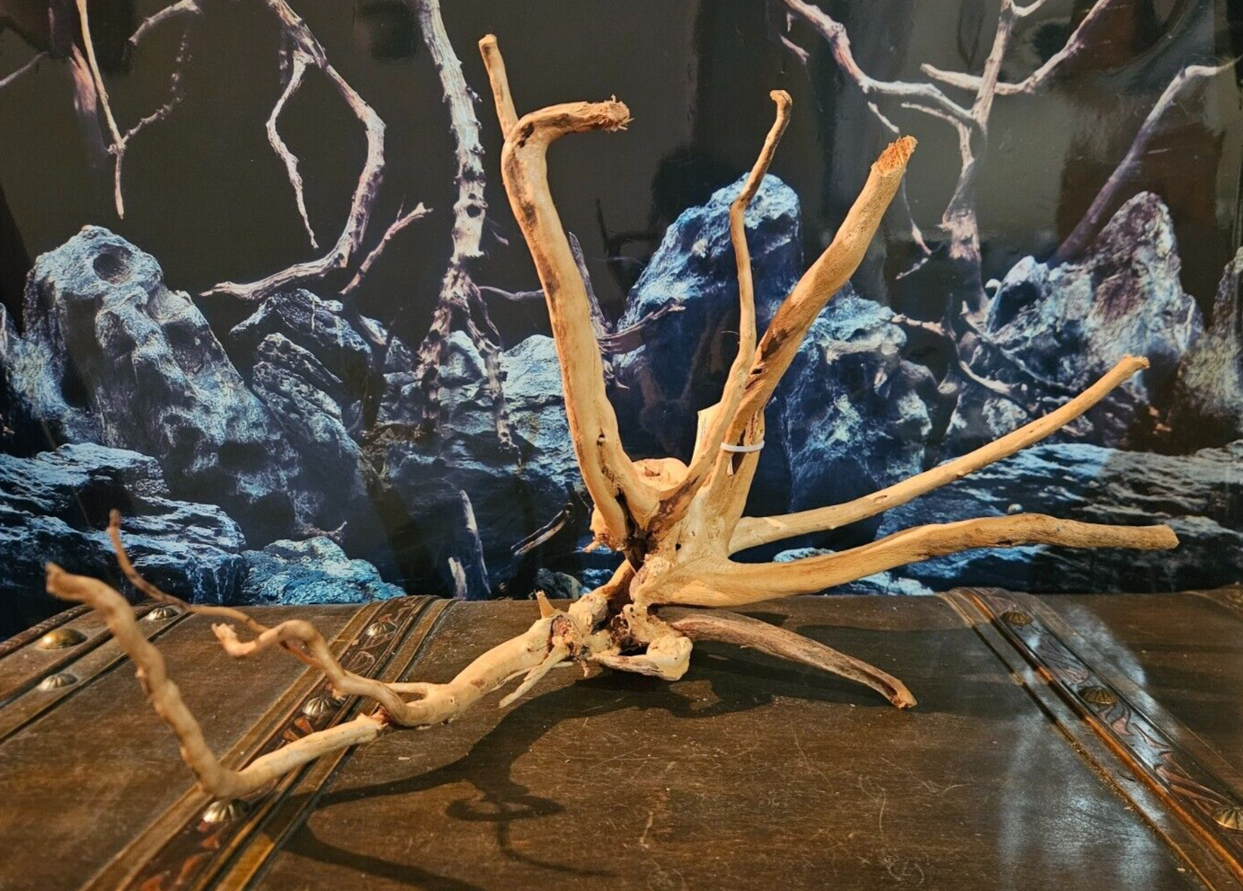 Rote Moorwurzel, Holz für Aquarium, zeigt rote Oberfläche und natürliche Struktur, geeignet für Welse und Fische.