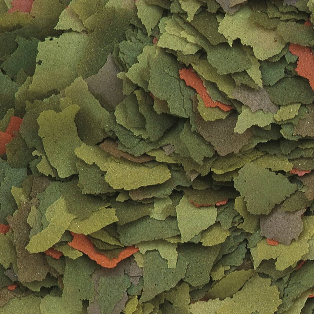 Tropical Malawi Flakes Futter für Malawisee-Cichliden, 250ml, mit hochwertigen Zutaten, in einer offenen Dose auf weißem Hintergrund.