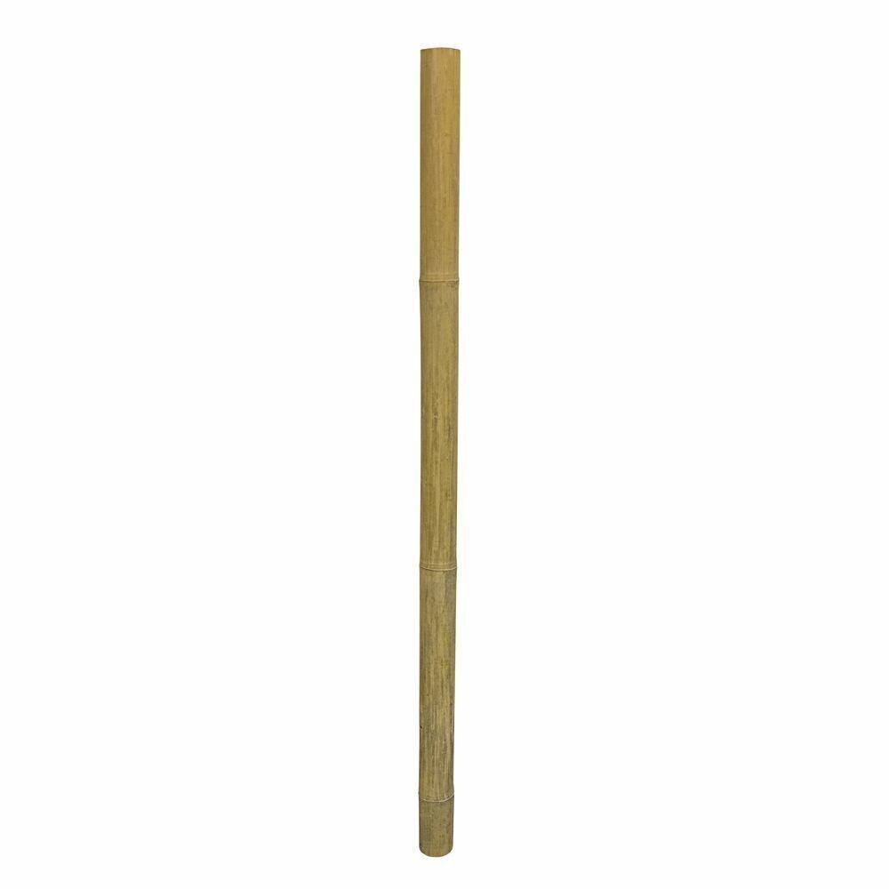 Hobby Bambusrohr ca. 50cm, Ø 2-3cm, Holz für Reptilien und Terrarien, natürliche Dekoration und Versteck für Schlangen