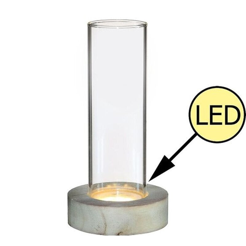 Rundes Pflanzenterrarium mit Holzfuß und LED-Beleuchtung, Durchmesser 8,5cm, Höhe 17cm, dekoratives Pflanzen- und Terrarien-Design