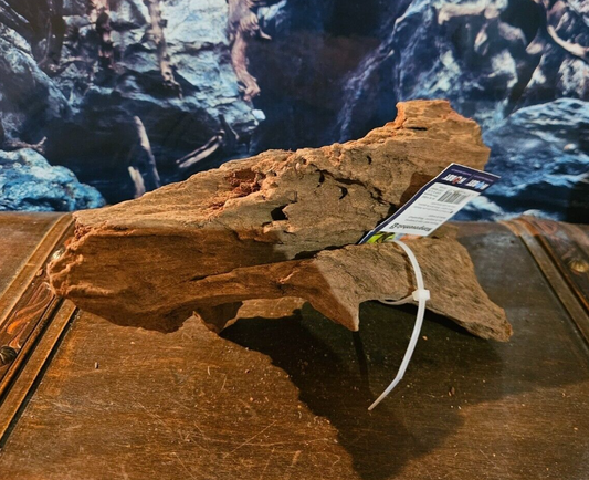 Hobby Mangrovenwurzel S, 25x12x12cm, natürliche Holzdekoration für Aquarium und Terrarium mit Welsen und Fischen