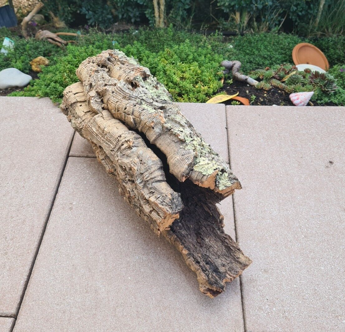 Hobby Zierkorkrinde 41x15x17cm, natürliche Korkröhre für Terrarien und Reptilien, dekorative Rinde für Terrariengestaltung
