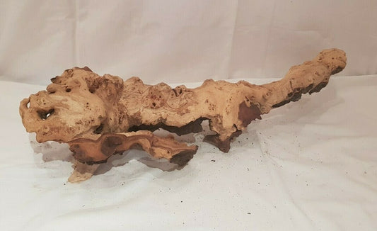 Mopani Wurzel 64x20x19cm aus Holz für Aquarium, geeignet für Welse und Fische, naturbelassenes Schaustück, 3,2kg