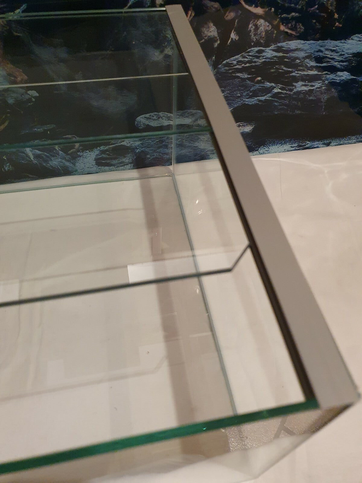 Glasaquarium Kallax von Diversa, rechteckiges Aquarium 33x38x20cm für 28,8 Liter mit klaren Glaswänden.