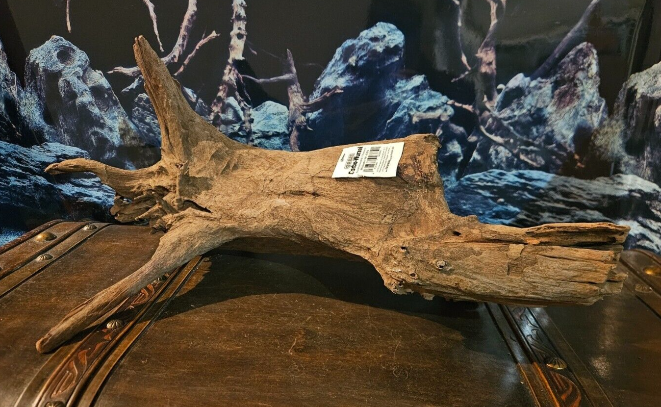 Corbo Wurzel M aus Holz für Welse, Garnelen und Terrarien im Aquarium, Maße 56x31x24cm, von Orbit