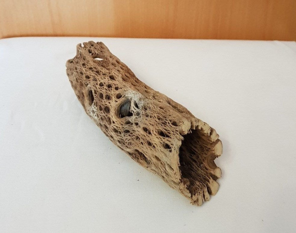 TeddyBear Cholla Höhle für Reptilien, Welse und Terrarien, 18x6x6cm, natürliche Deko für Aquarium und Terrarium