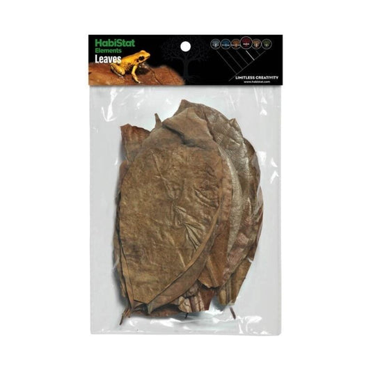 Natürliche Terrarium-Bodengrundblätter von Habistat, 30er-Pack, mit gemischten Blättern und Laub für ein realistisches Habitat.