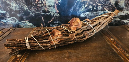 Große Kokosrispe 55x11cm aus Holz, ideal für Reptilien, Garnelen und Terrarien im Aquarium.