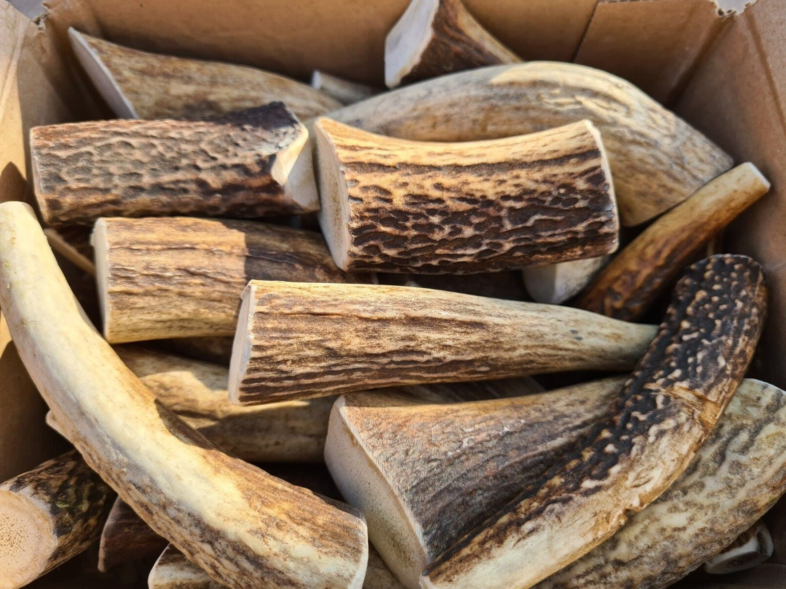 Handgefertigter Hunde Geweihsnack aus Hirschgeweih, langlebiger Kausnacken für Hunde, naturbelassen und robust